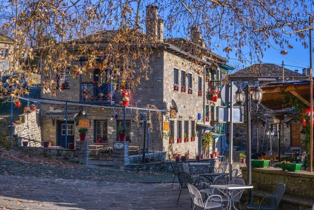 Xenonas Zagorisio Apartment Tsepelovo Cameră foto