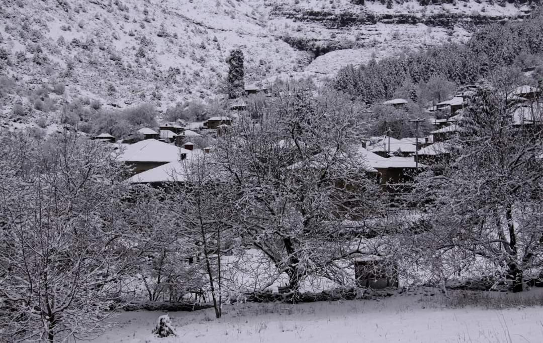 Xenonas Zagorisio Apartment Tsepelovo Cameră foto